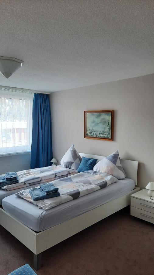 Holiday Accommodation - Swimming Pool Available Davos Ngoại thất bức ảnh