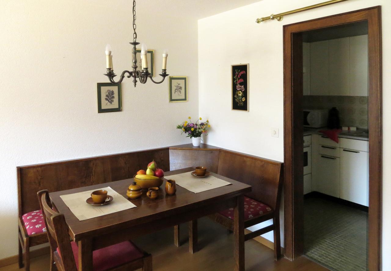 Holiday Accommodation - Swimming Pool Available Davos Ngoại thất bức ảnh